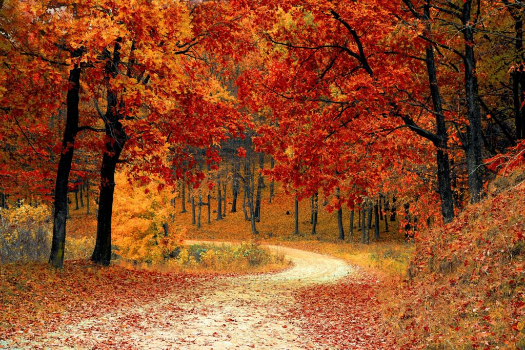 Selling a Property in the UK During Autumn: A Comprehensive Guide